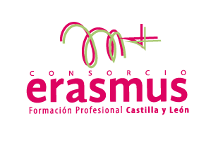 Logo Erasmus+ CyL